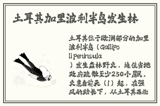 现在和爱的人在一起吗